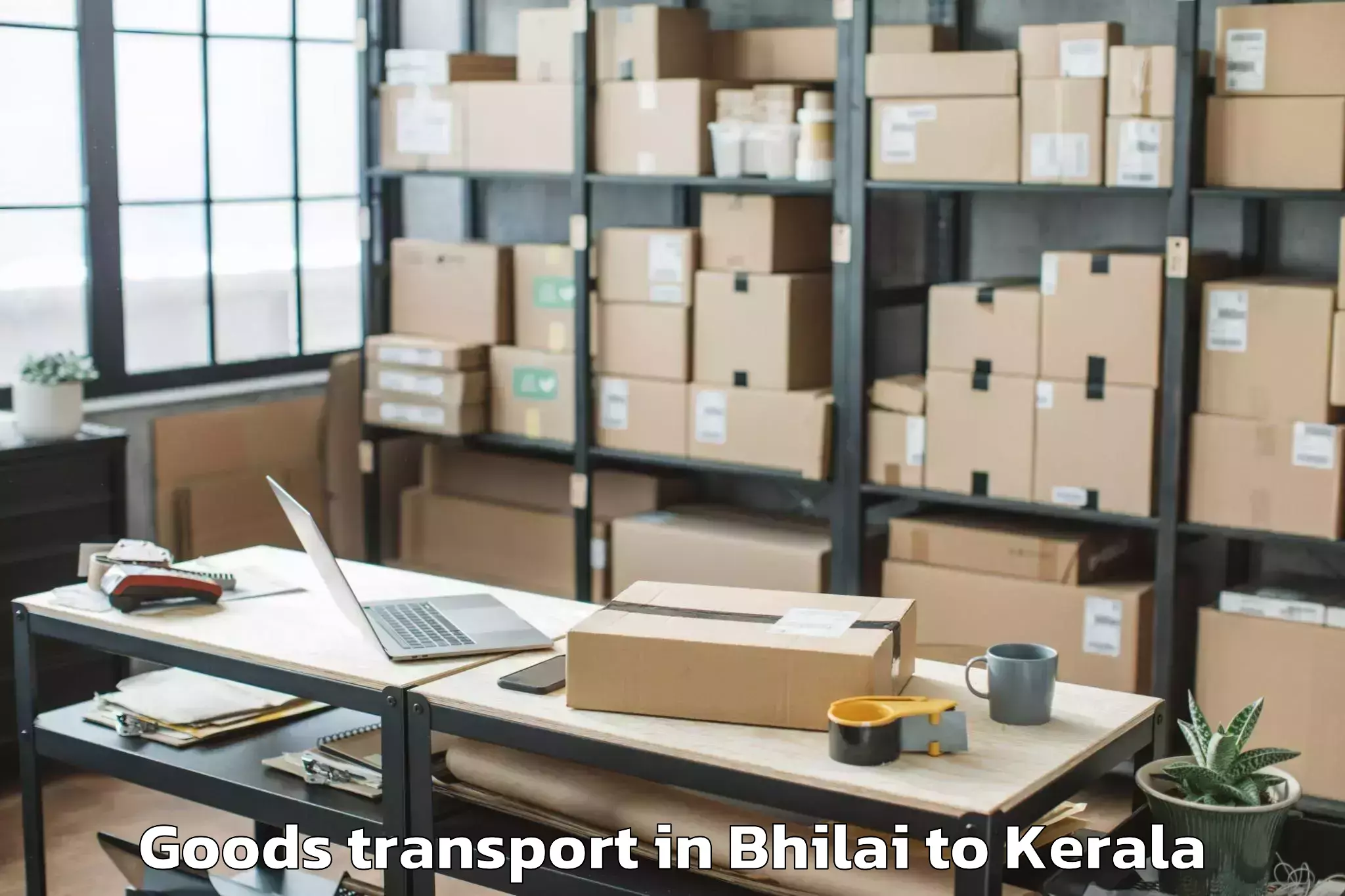 Reliable Bhilai to Pariyapuram Goods Transport